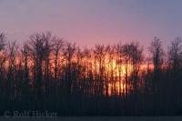 In a remote field in Alberta, Canada the after sunset light reflects in the clouds above, making for this stunning picture.