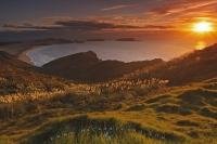 From the hills of Cape Reinga in New Zealand, visitors have stunning views of Te Werahi Beach and the Tasman Sea. During a typical west coast sunset, the scenery is ignited and the grasses glow in the golden light.