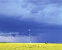 Thunder Storms over a yellow canola field with a oil pump, Alberta