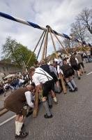 The men raise the Maibaum during the traditional German spring celebration in Putzbrunn, Germany.