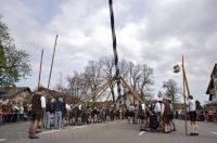 The Maibaumfest is a traditional German Celebration which is taken seriously by the residents of Putzbrunn, Germany.