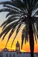 A tropical scene as a vivid sunset lights the evening sky behind the Triana District in the City of Seville, Andalusia in the South of Spain, silhouetting a palm on the eastern bank of Rio Guadalquivir.