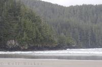 An undisturbed beach surrounded by wilderness in San Josef Bay in Cape Scott Provincial Park on Northern Vancouver Island.