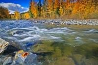 Fall picture along a river on Vancouver Island in British Columbia, Canada
