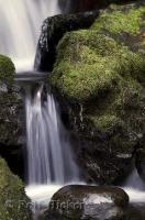 An interesting perspective of water in motion at Merriman Falls on the Olympic Peninsula of Washington, USA.
