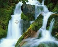 Waterfall Picture taken in the Rainforest of vacation destination Vancouver Island in British Columbia, Canada