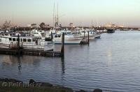 The calm waters of the Westport Marina and harbor in Washington, USA.