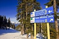 On Whistler Mountain there are so many ski trails that you need direction signs to be able to tell you which ski trail you're on while skiing or snowboarding on Whistler Mountain in British Columbia, Canada.