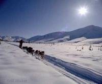 Winter Scenes with a dog sled and the snow covered mountains of the Brooks Range.