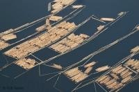 Wood Flooring at early stage in British Columbia