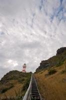 Follow the wooden stairs up the steep slope of the cliff until you reach the top where you can explore the Cape Palliser Lighthouse and enjoy the incredible view that New Zealand offers.