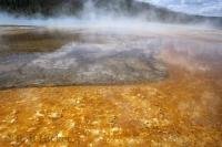 The hot springs in the Yellowstone National Park which spans across Idaho, Montana, and Wyoming in the USA.
