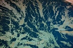 photo of Abstract Patterns Pacific Ocean