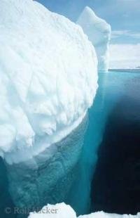 photo of Iceberg Pic