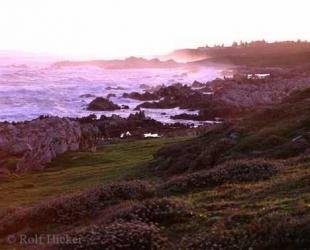 photo of Africa Vacations Coast False Bay