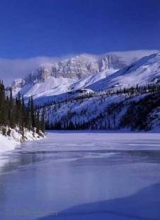 photo of Winter Backgrounds