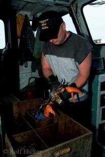 photo of lobster fishing