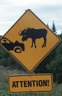 photo of Funny Road Signs