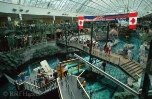 photo of edmonton mall