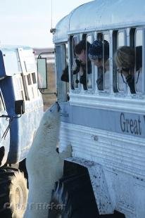 photo of Adventure Tours