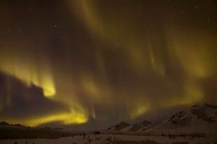 photo of Adventure Trip Yukon