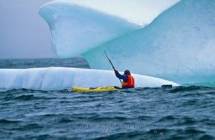 photo of Adventurous Ocean Sea Kayaking Tour Newfoundland