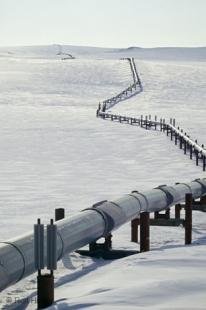 photo of alaska pipeline