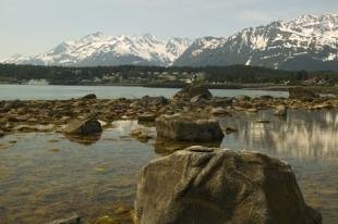photo of haines alaska