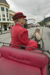 photo of alaska vacation package horse buggy tour