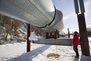 photo of Tourist looking at Alaska Oil Pipeline