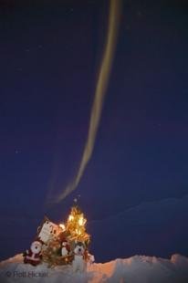 photo of Alaska Winter