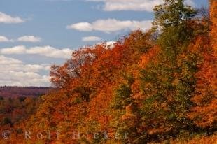 photo of Algonquin Provincial Park Fall Shades