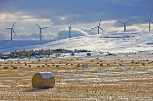 photo of Alternative Energy Windmills Winter Alberta Canada