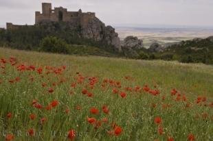 photo of Ancient Castle Aragon