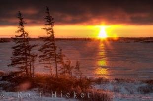 photo of Arctic Tundra Sunset Photo Churchill Canada