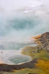 photo of Artists Palette Pools New Zealand