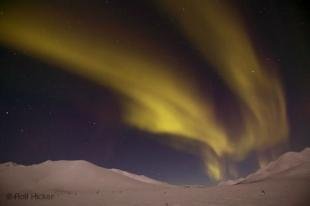 photo of aurora dempster Northern Light