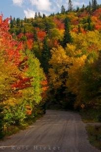photo of Autumn Highway Parc National Du Mont Tremblant Quebec