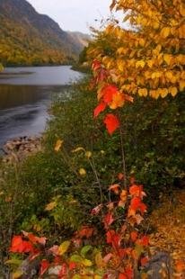 photo of Autumn Scene Quebec Jacques Cartier Provincial Park