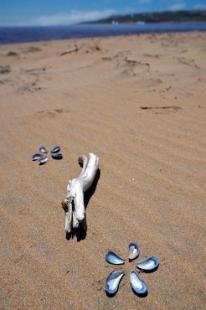 photo of Beach Artwork Pinware River Southern Labrador