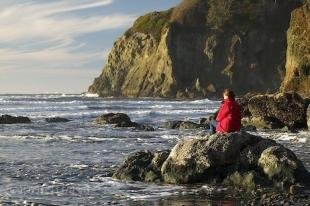 photo of Washington Coast Beach Vacation