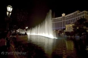 photo of Bellagio Show