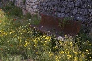 photo of Wildflowers Bench Rest Provence France Village