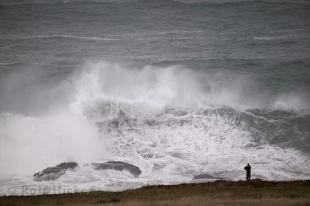 photo of California Coast Picture