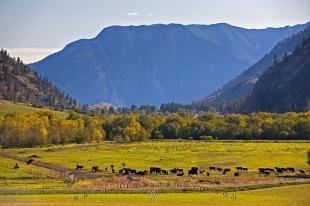 photo of Canadian Landscapes Mountains Valleys