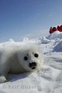 photo of canadian ecotours