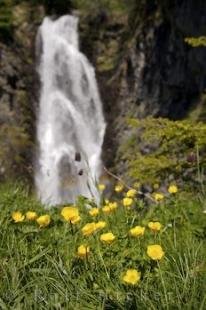 photo of Cascading Waterfall Catalonia Spain