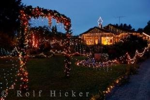 photo of Christmas Traditions New Zealand