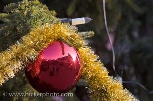 photo of Christmas Tree Ornament Picture