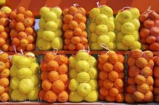 photo of Citrus Market Stall Oliva Nova Valencia Spain